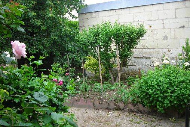 Location de vacances - Gîte à Rigny-Ussé