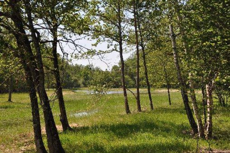 Location de vacances - Maison - Villa à Jouy-le-Potier