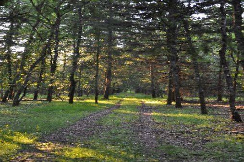 Location de vacances - Maison - Villa à Jouy-le-Potier