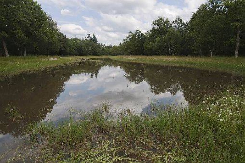 Location de vacances - Maison - Villa à Jouy-le-Potier