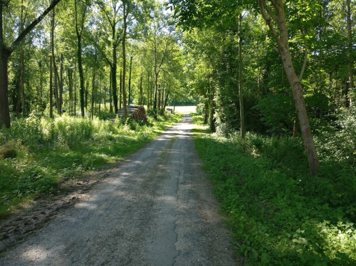Location de vacances - Gîte à Chevregny - VOIE VERTE EN BAS DU VILLAGE