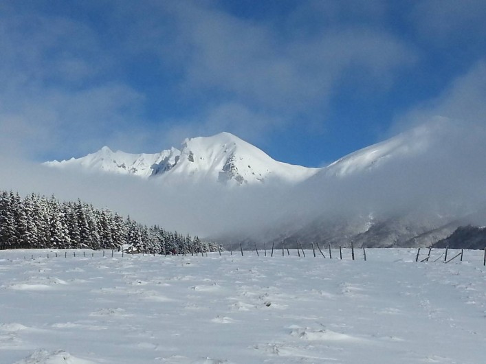 Location de vacances - Appartement à Chastreix - PAYSAGE HIVERNAL DU SANCY