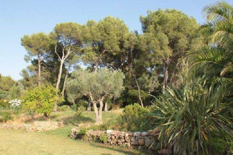 Location de vacances - Villa à Saint-Raphaël