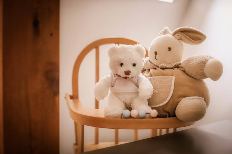 Location de vacances - Appartement à Colmar