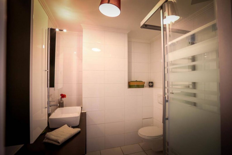 Location de vacances - Appartement à Colmar