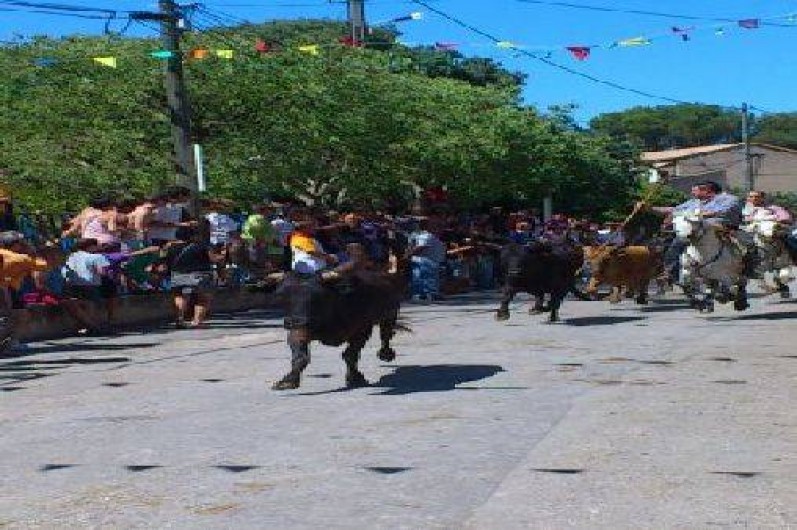 Location de vacances - Gîte à Aigues-Vives