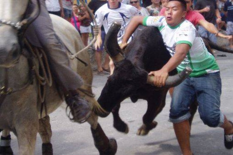 Location de vacances - Gîte à Aigues-Vives