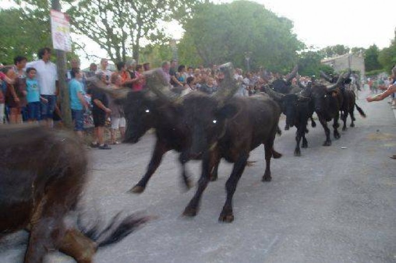 Location de vacances - Gîte à Aigues-Vives