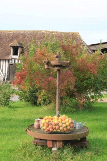 Location de vacances - Gîte à Victot-Pontfol - les bonnes pommes normandes