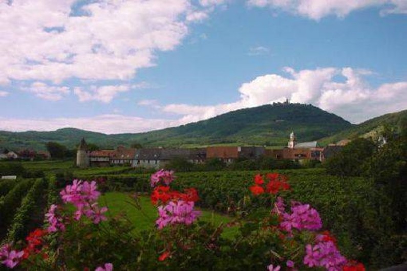 Location de vacances - Maison - Villa à Saint-Hippolyte - village de Saint Hippolyte