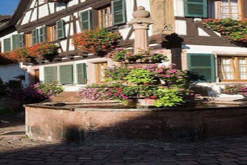 Location de vacances - Maison - Villa à Saint-Hippolyte - fontaine de la mairie