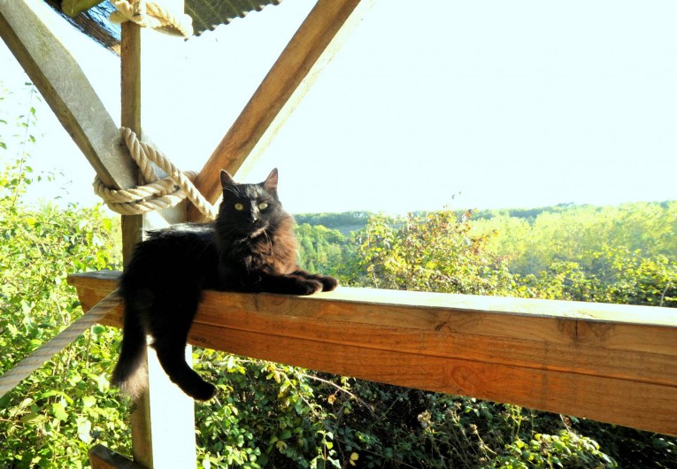 Location de vacances - Gîte à Lamaguère