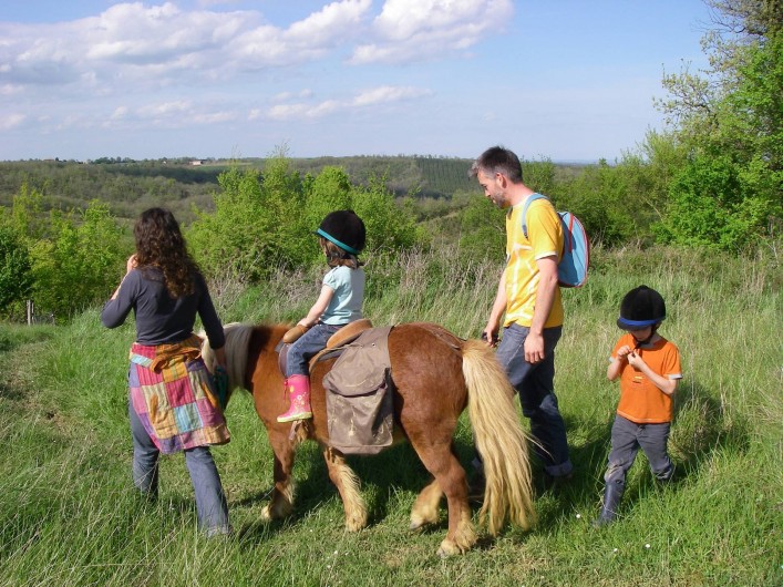 Location de vacances - Gîte à Lamaguère