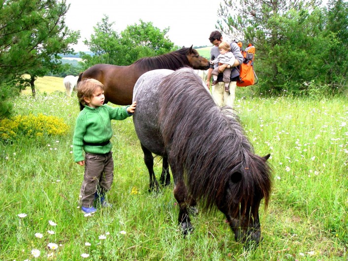 Location de vacances - Gîte à Lamaguère