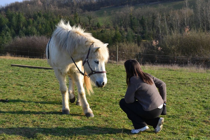 Location de vacances - Gîte à Lamaguère