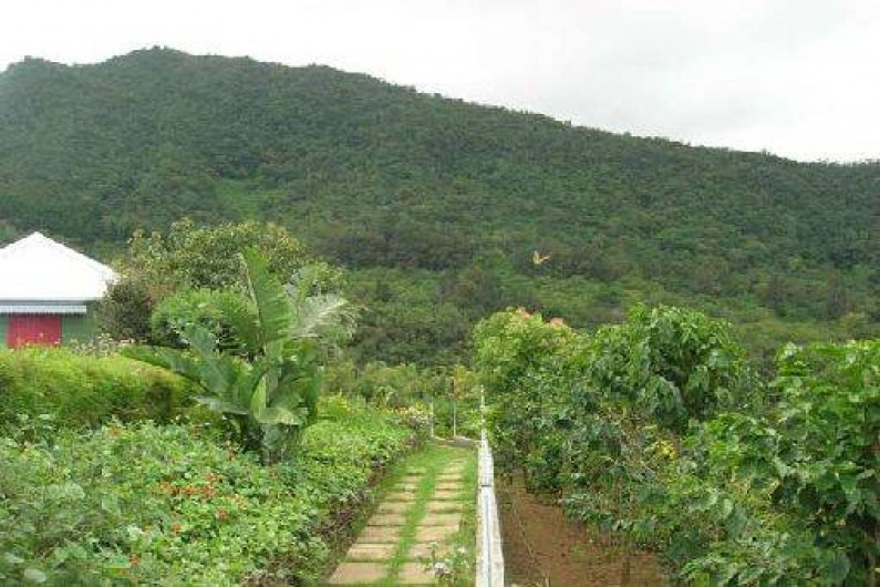 Location de vacances - Bungalow - Mobilhome à Saint-Louis