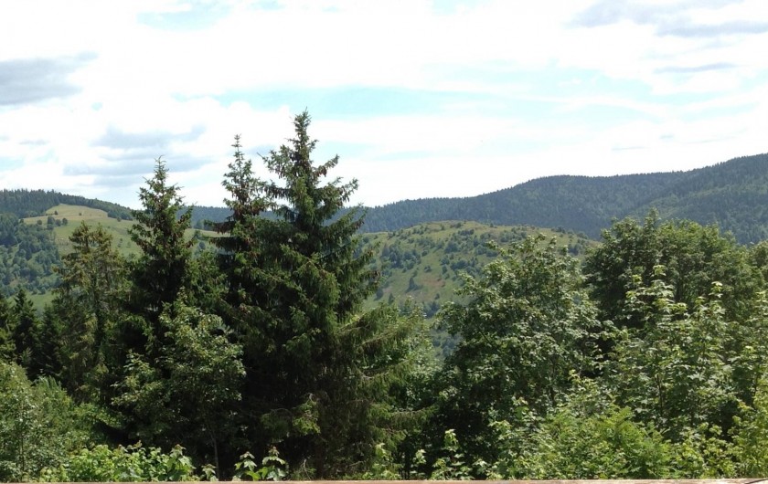 Location de vacances - Chalet à La Bresse - Vue depuis le Balcon I Chalet Le Montagnard I La Bresse