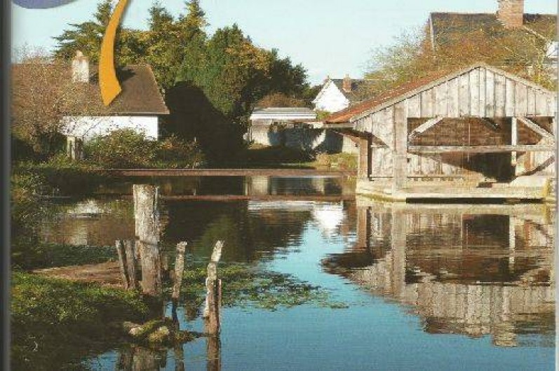 Location de vacances - Gîte à Chouzy-sur-Cisse