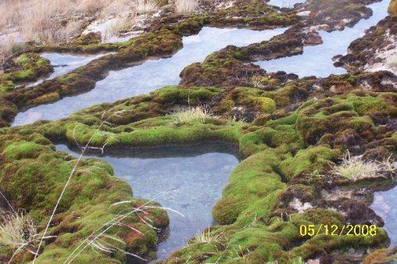 Location de vacances - Moulin à Saint-Germain-le-Rocheux