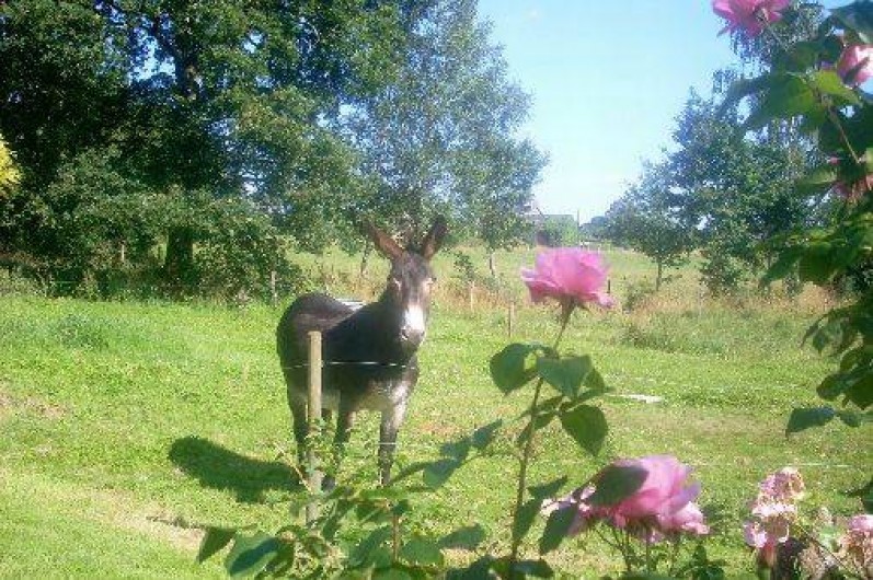 Location de vacances - Gîte à La Bazouge-du-Désert