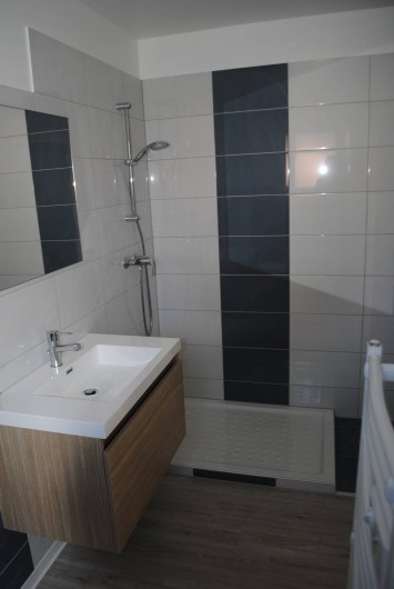 Location de vacances - Appartement à Colmar - salle de bain