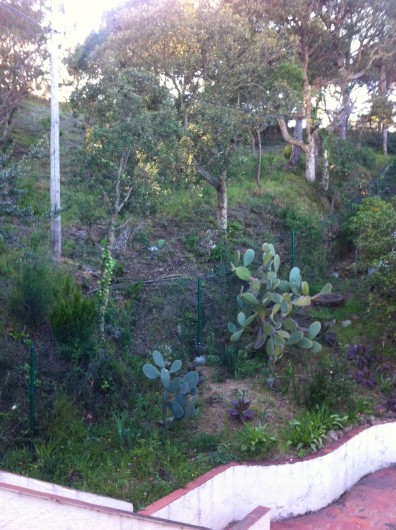 Location de vacances - Appartement à Tossa de Mar - ACCÈS RÉSIDENCE COTÉ MONTAGNE