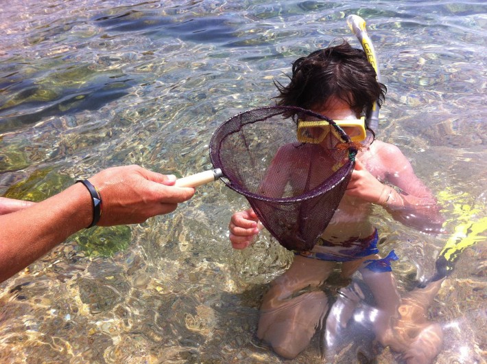 Location de vacances - Appartement à Tossa de Mar - LES EAUX SONT CRISTALLINES
