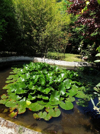 Location de vacances - Studio à La Tour-d'Aigues