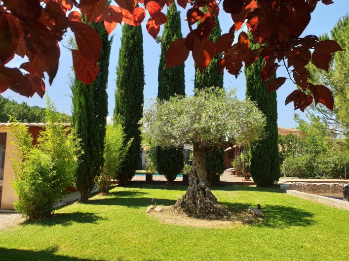 Location de vacances - Studio à La Tour-d'Aigues