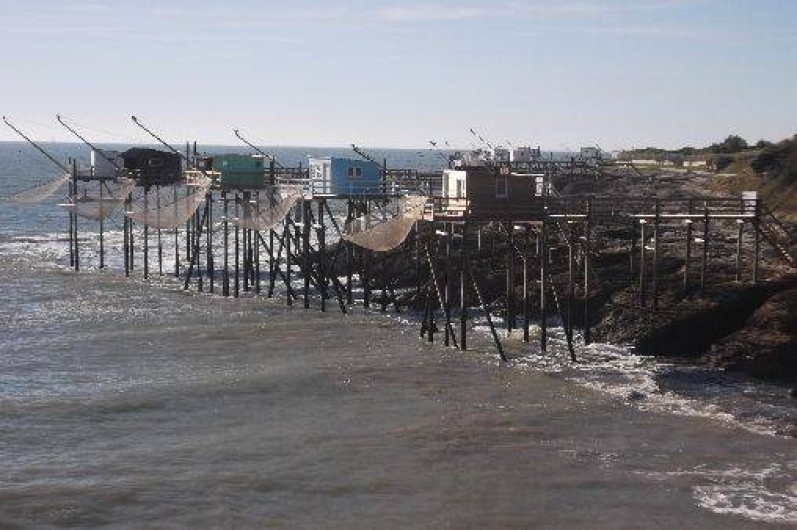 Location de vacances - Bungalow - Mobilhome à La Palmyre