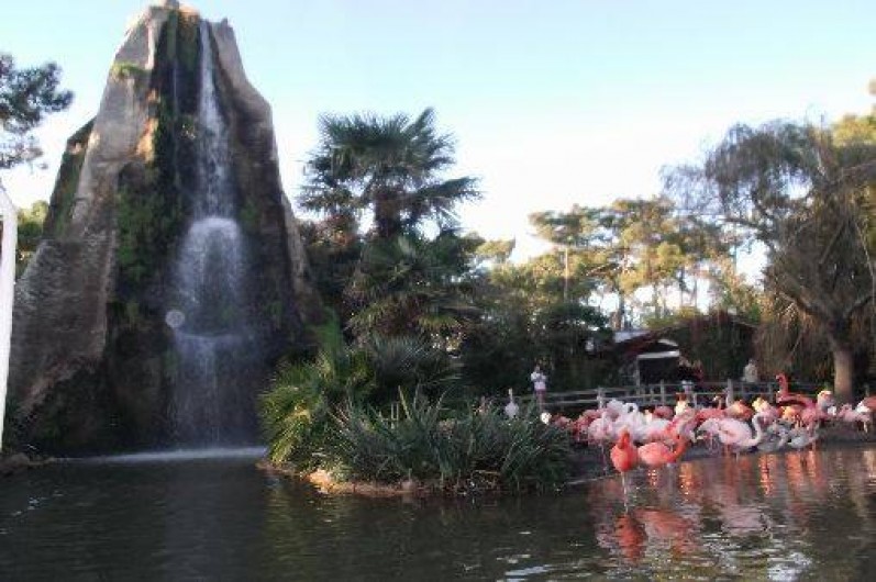 Location de vacances - Bungalow - Mobilhome à La Palmyre