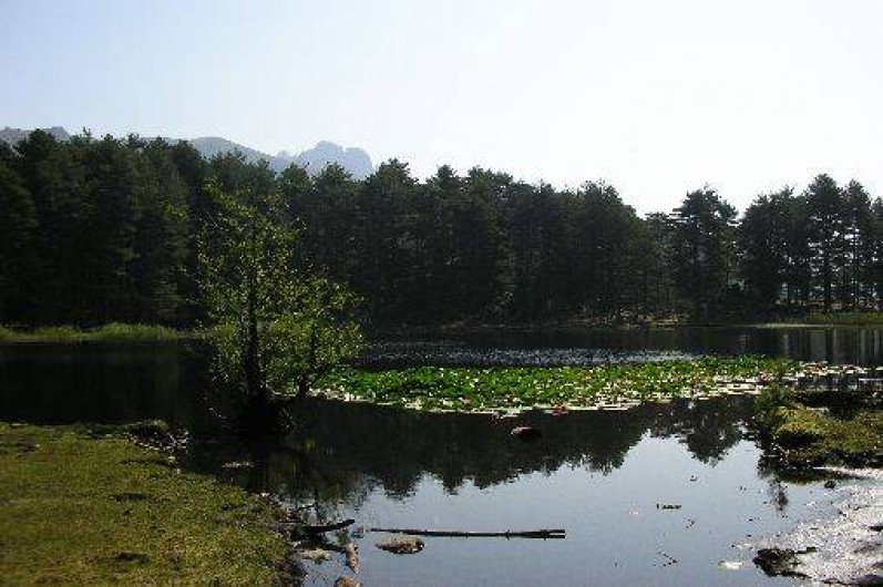 Location de vacances - Chalet à Orto - lac de crena