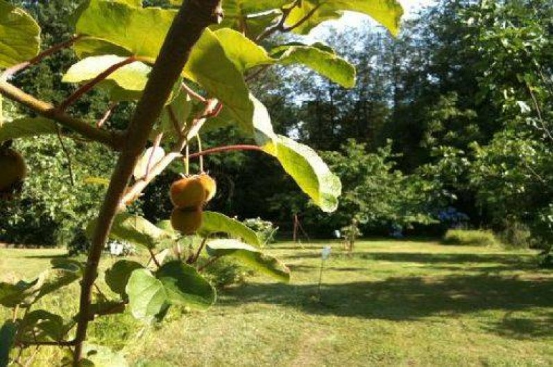 Location de vacances - Villa à Creysse