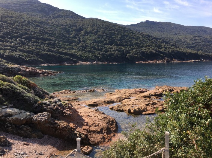 Location de vacances - Villa à Calcatoggio - Crique