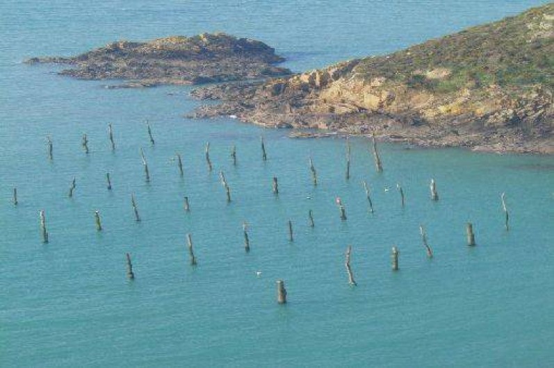 Location de vacances - Appartement à Plouha