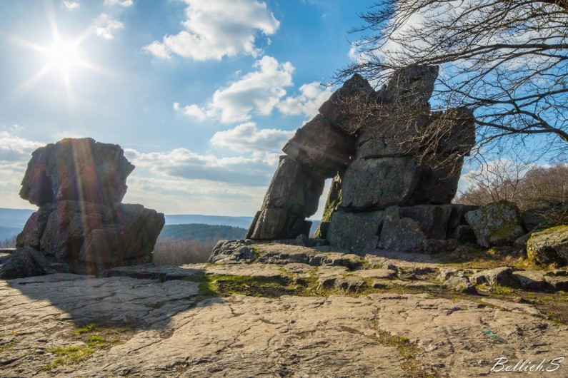 Location de vacances - Appartement à Haybes