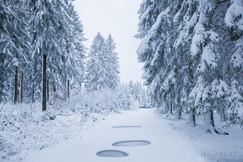 Location de vacances - Appartement à Haybes