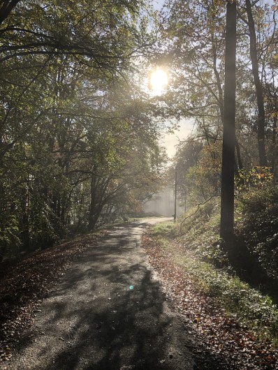 Location de vacances - Appartement à Haybes
