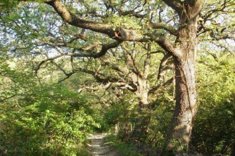 Location de vacances - Camping à Saint-Paul-Trois-Châteaux