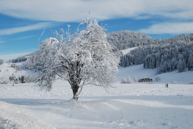 Location de vacances - Appartement à Lamoura