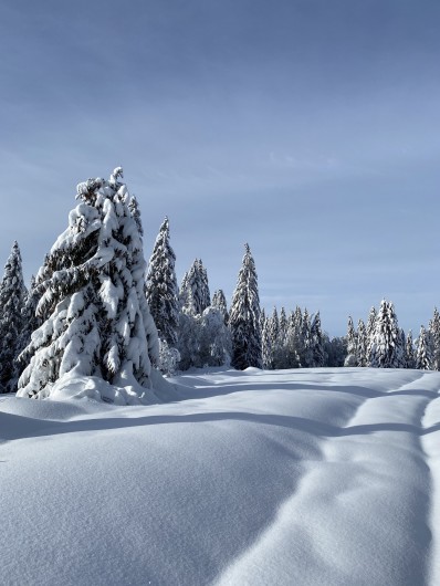 Location de vacances - Appartement à Lamoura