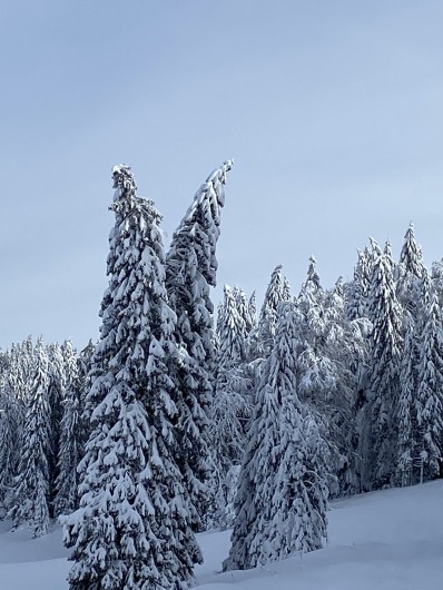 Location de vacances - Appartement à Lamoura