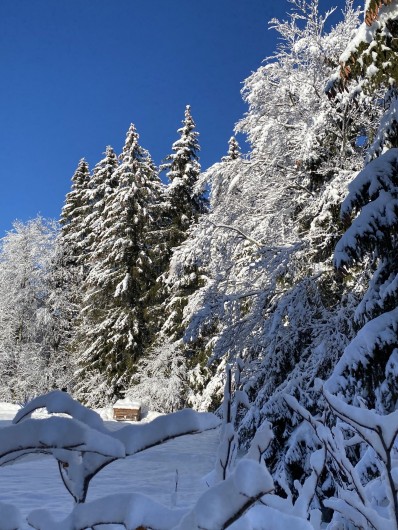 Location de vacances - Appartement à Lamoura