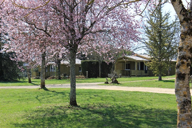 Location de vacances - Camping à Veyrines-de-Domme