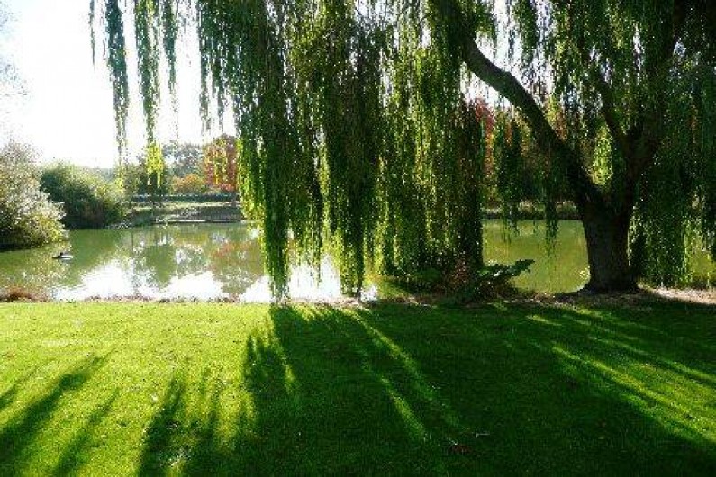 Location de vacances - Gîte à Morlaix
