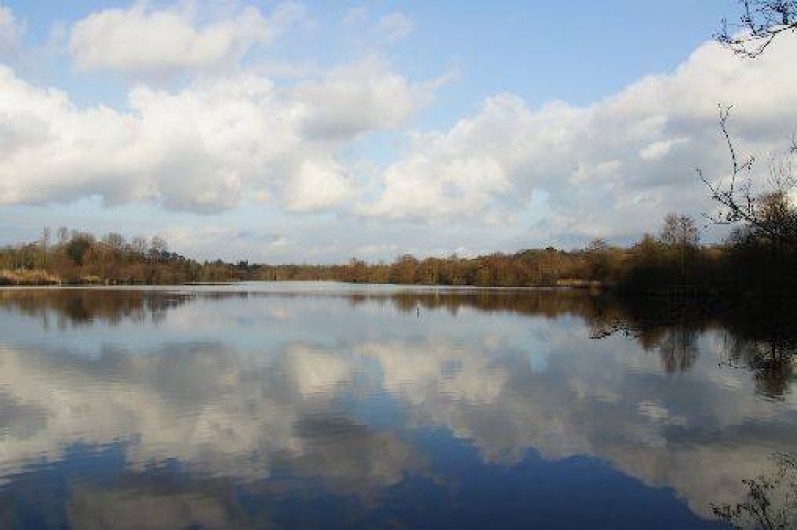 Location de vacances - Gîte à Condette