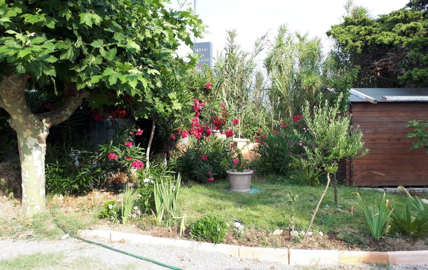 Location de vacances - Appartement à Sainte-Maxime - jardin