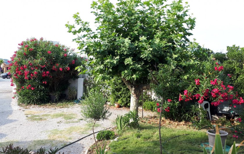 Location de vacances - Appartement à Sainte-Maxime - jardin