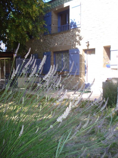 Location de vacances - Gîte à Saint-Martin-d'Août