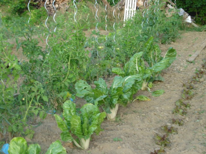 Location de vacances - Gîte à Saint-Martin-d'Août